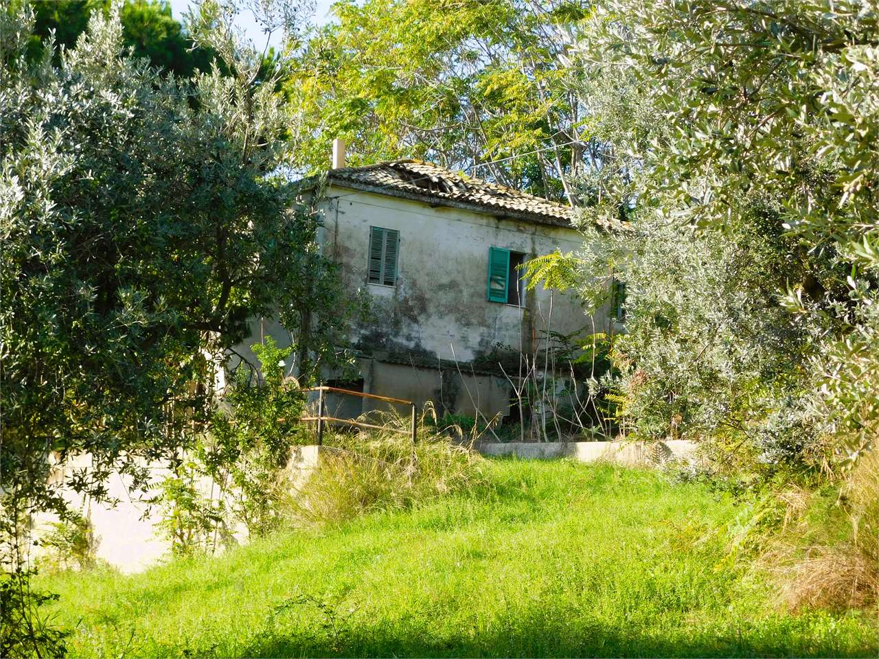 immagine annuncio 4 di 10