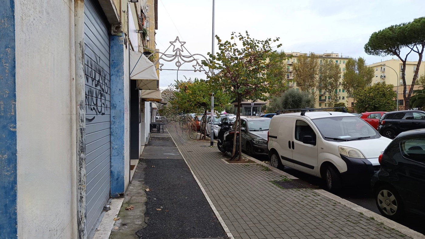 immagine annuncio 1 di 10