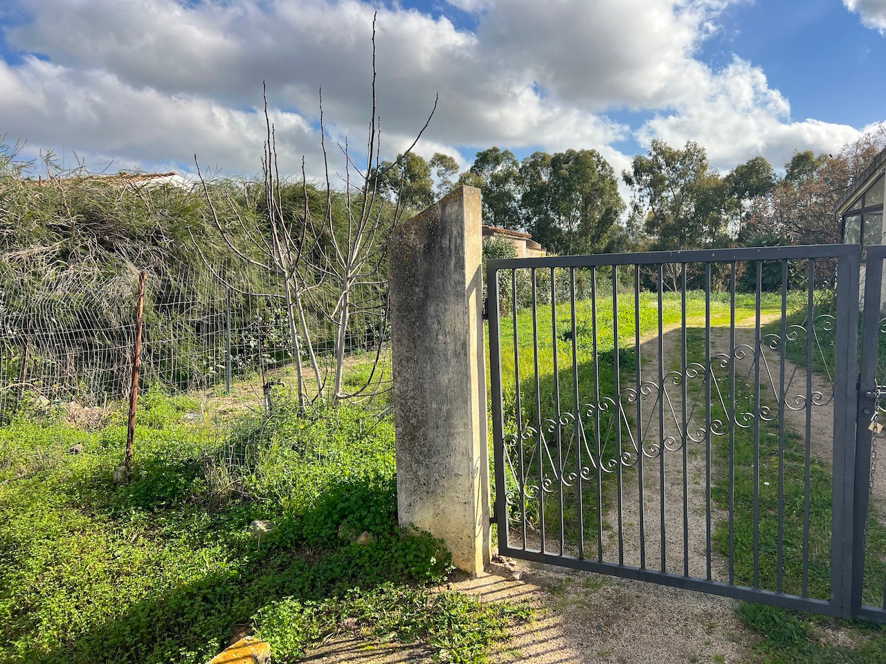 immagine annuncio 2 di 6