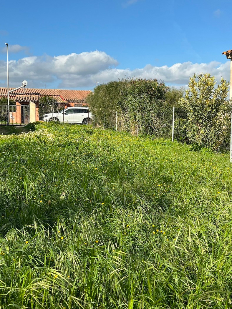 immagine annuncio 1 di 6