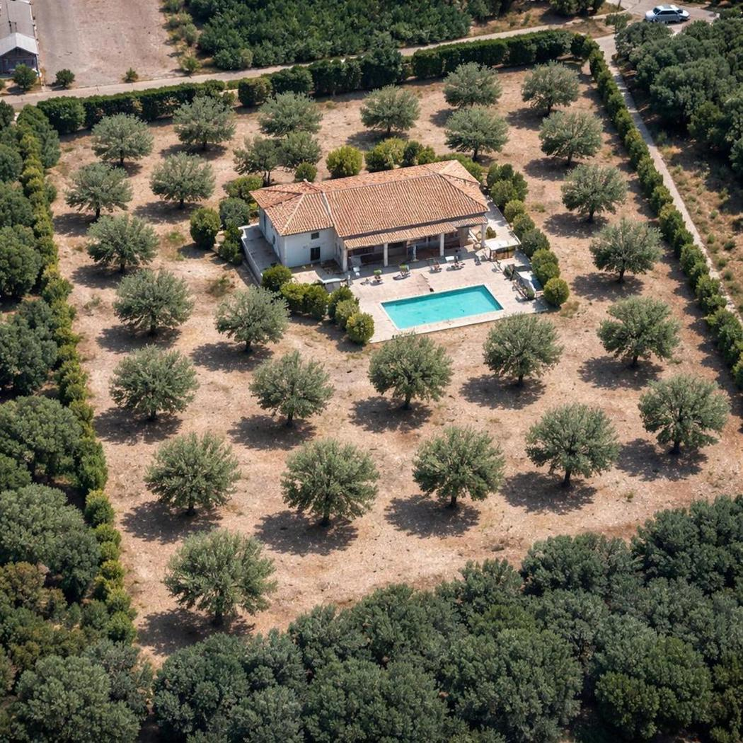 immagine annuncio 3 di 6