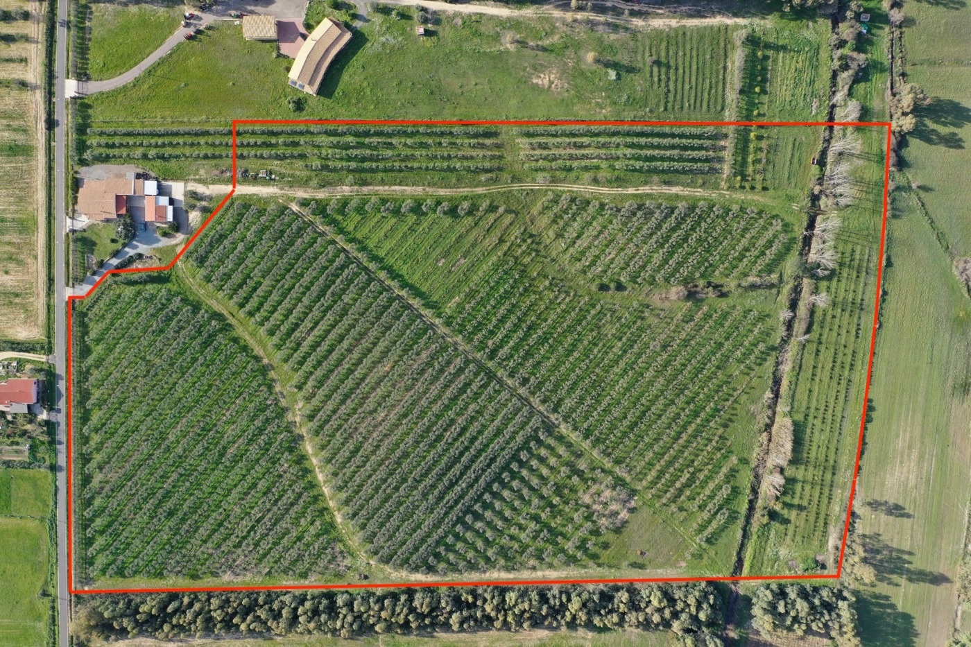 immagine annuncio 3 di 6