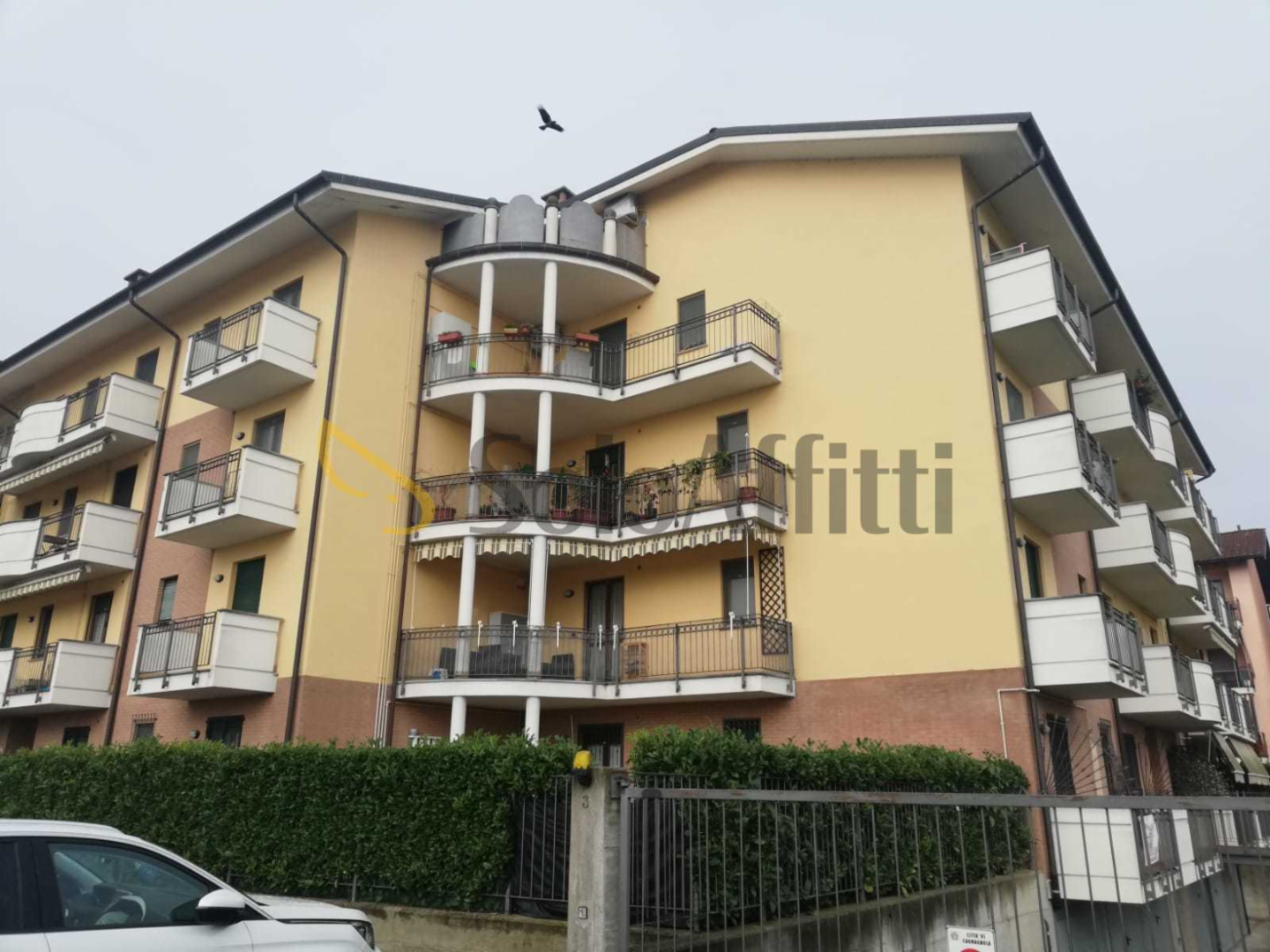immagine annuncio 1 di 10