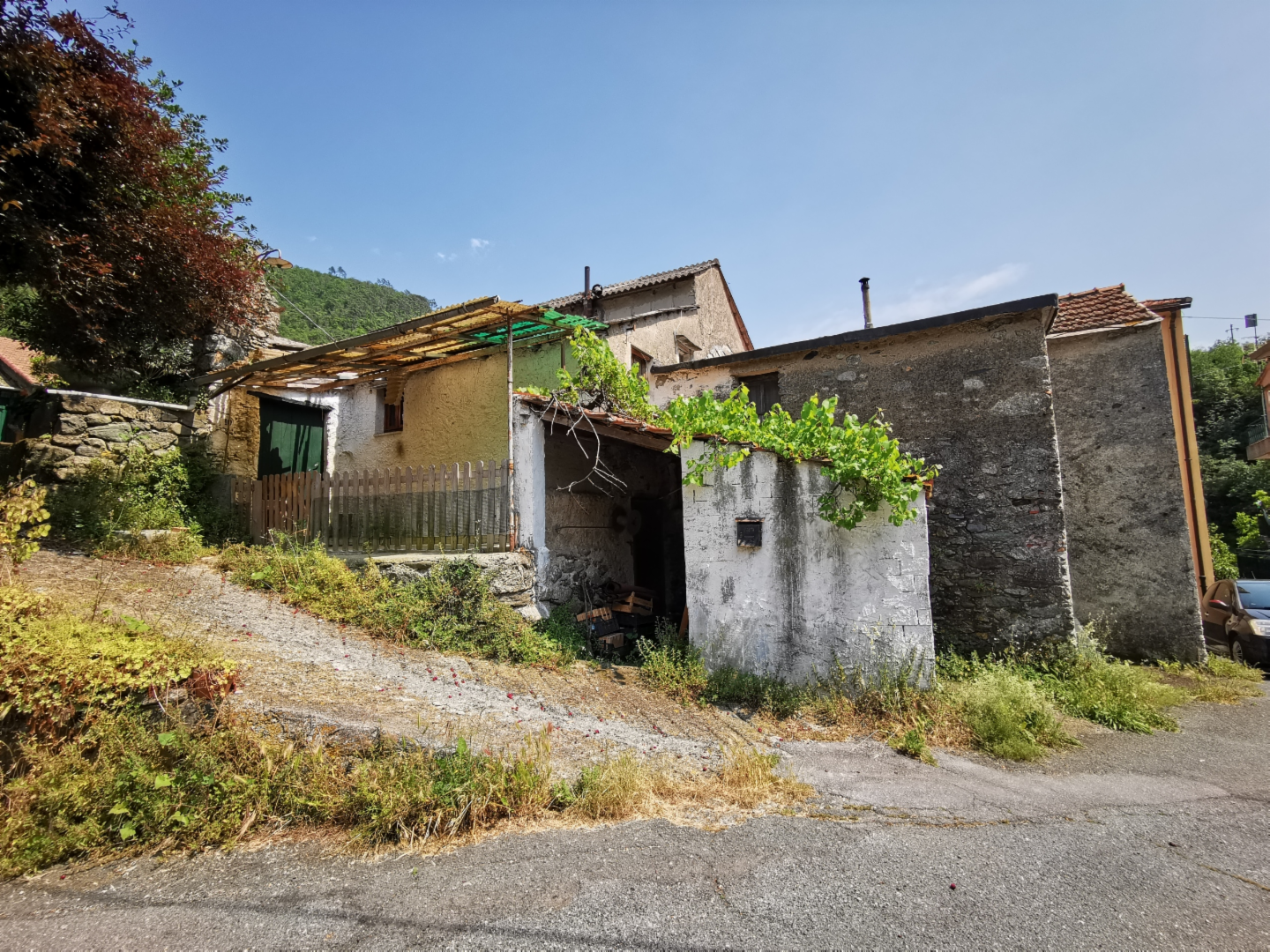 immagine annuncio 3 di 6
