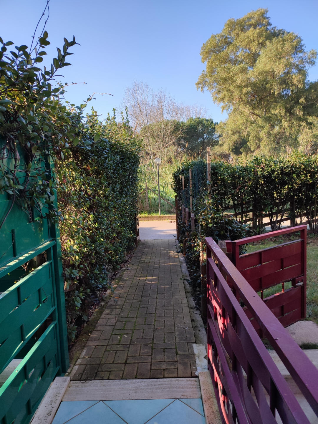 immagine annuncio 5 di 9