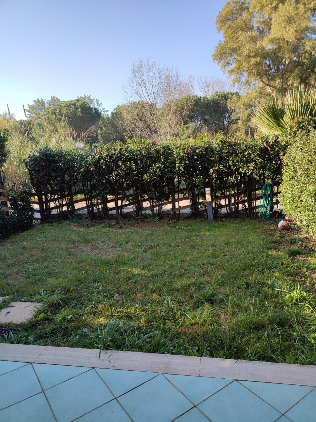 immagine annuncio 6 di 9