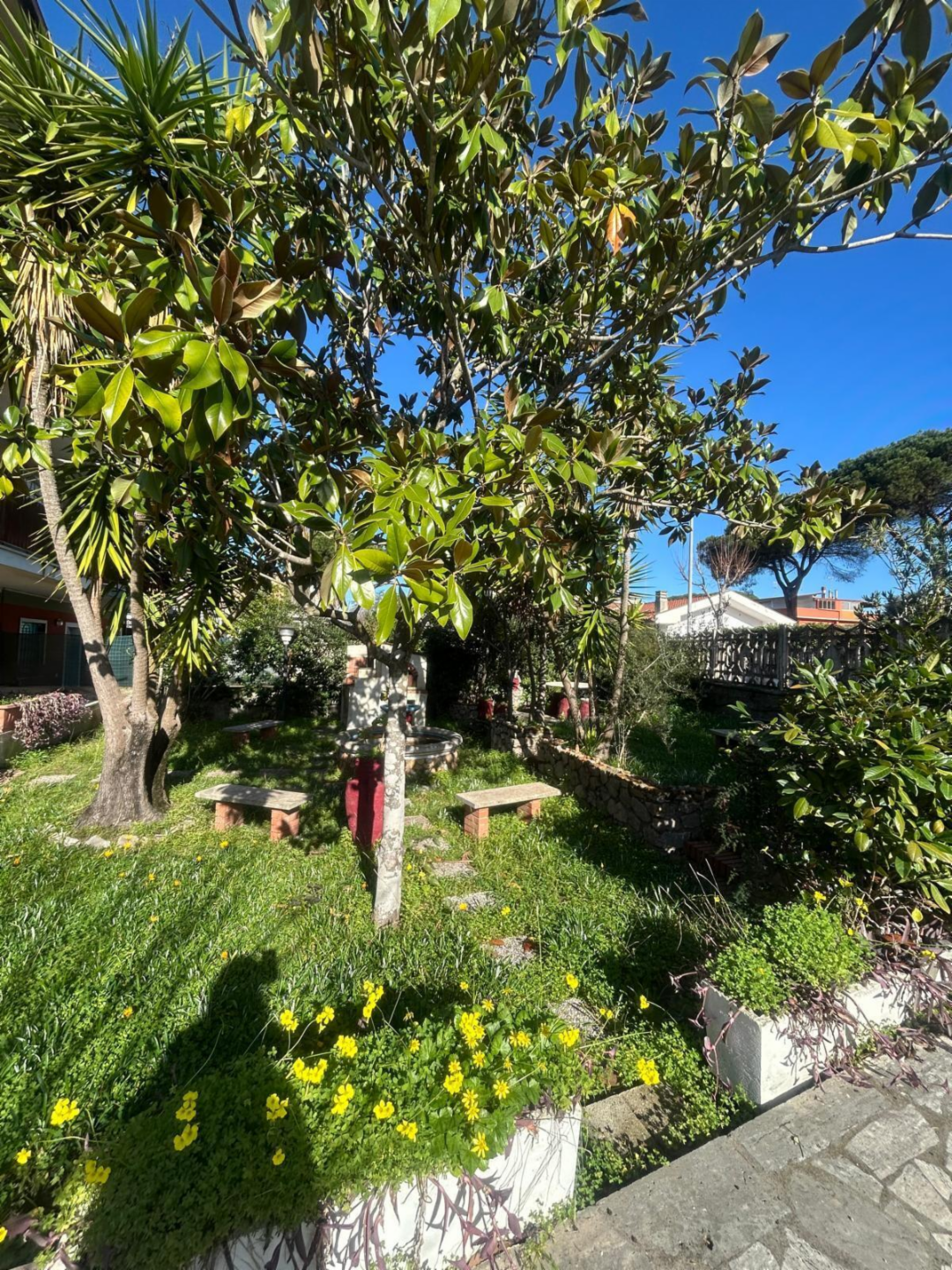 immagine annuncio 2 di 10