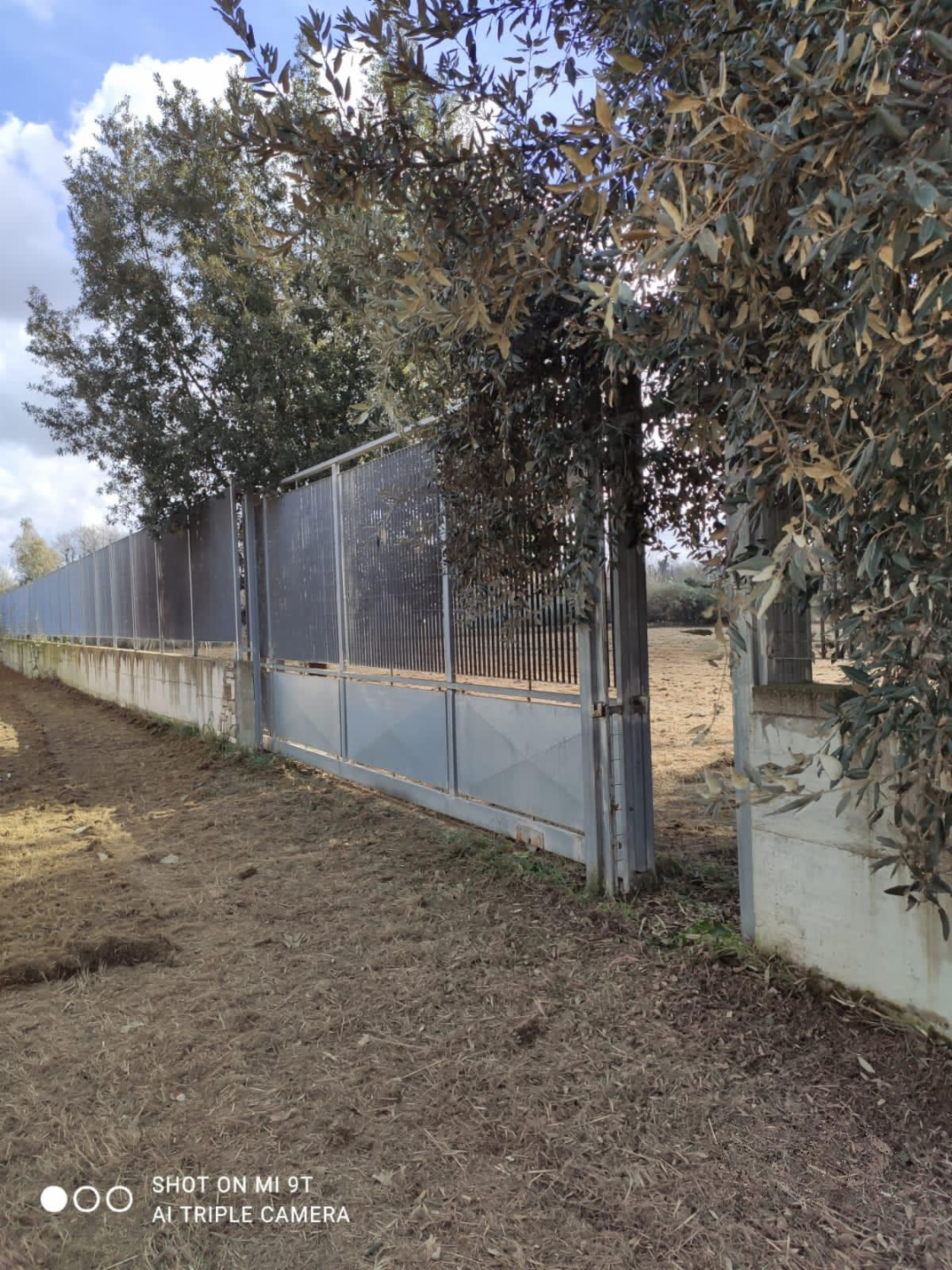 immagine annuncio 3 di 8