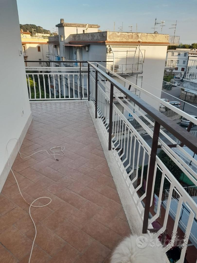 immagine annuncio 4 di 8