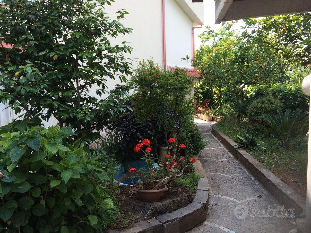 immagine annuncio 9 di 10