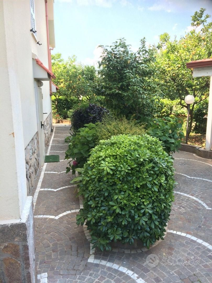immagine annuncio 5 di 10