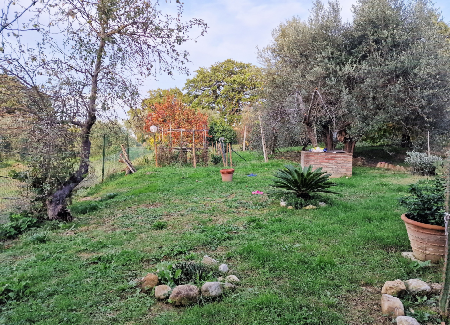 immagine annuncio 5 di 10