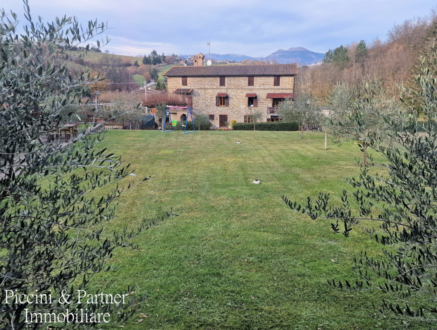 immagine annuncio 3 di 10