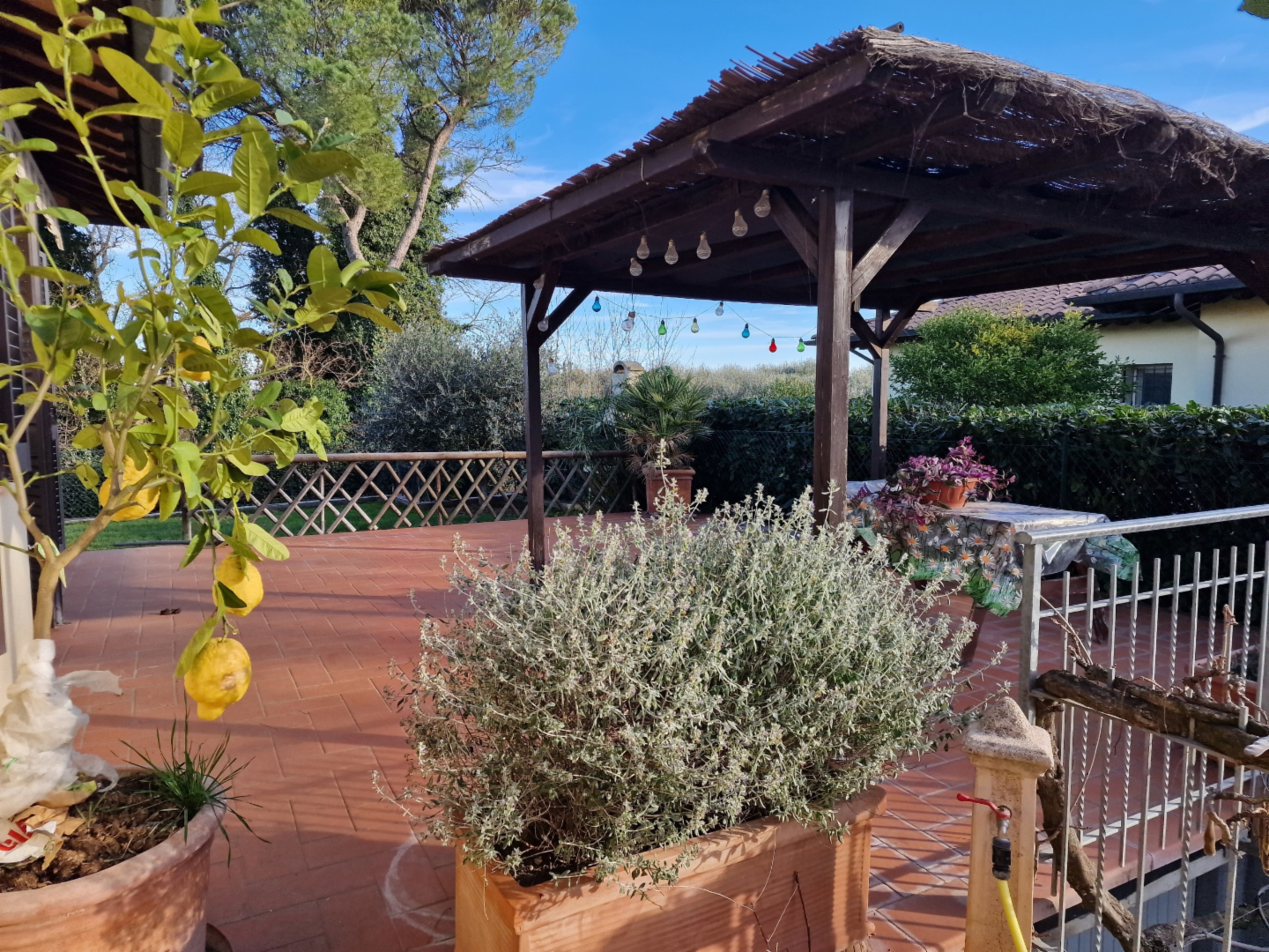 immagine annuncio 9 di 10