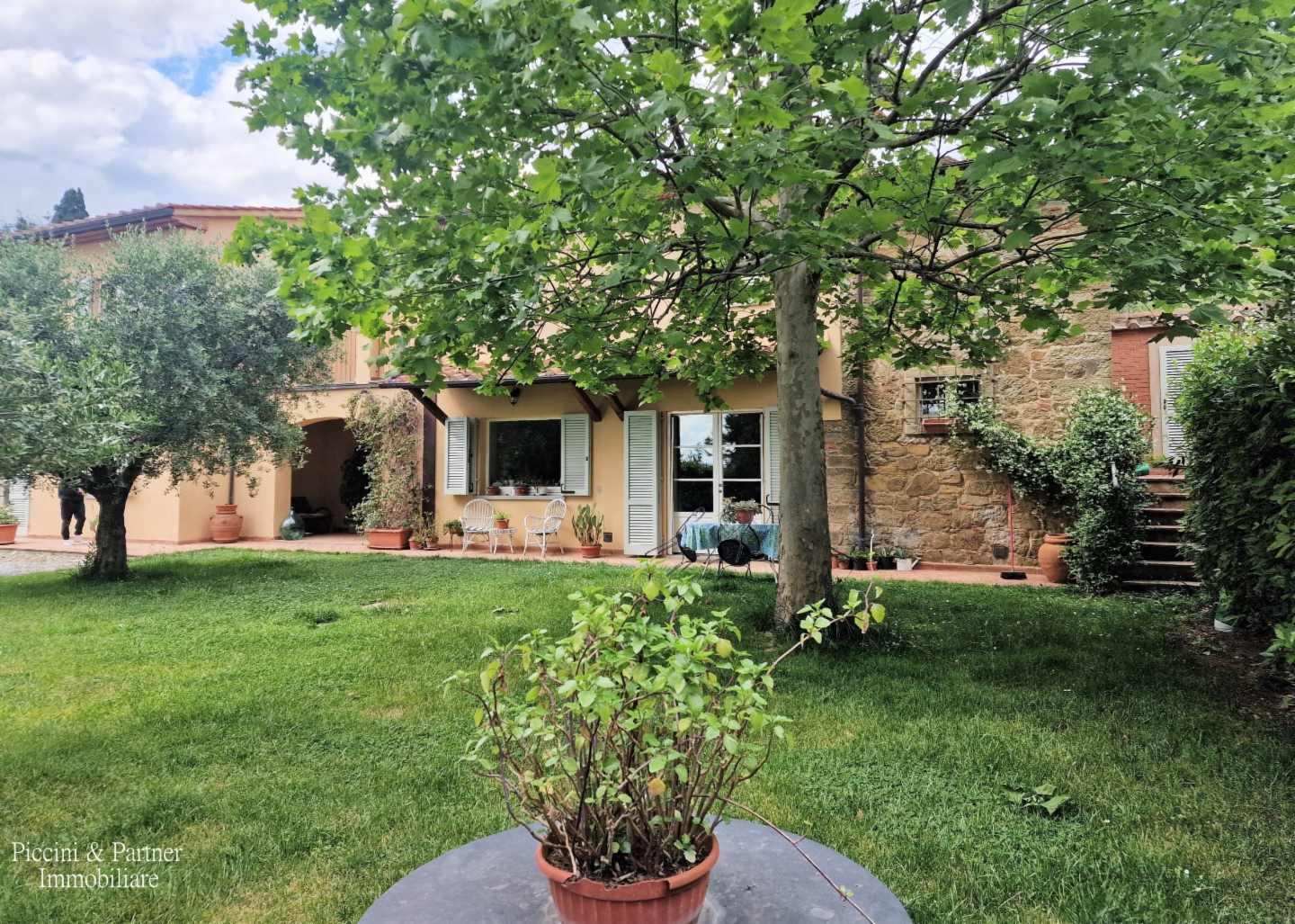 immagine annuncio 3 di 10