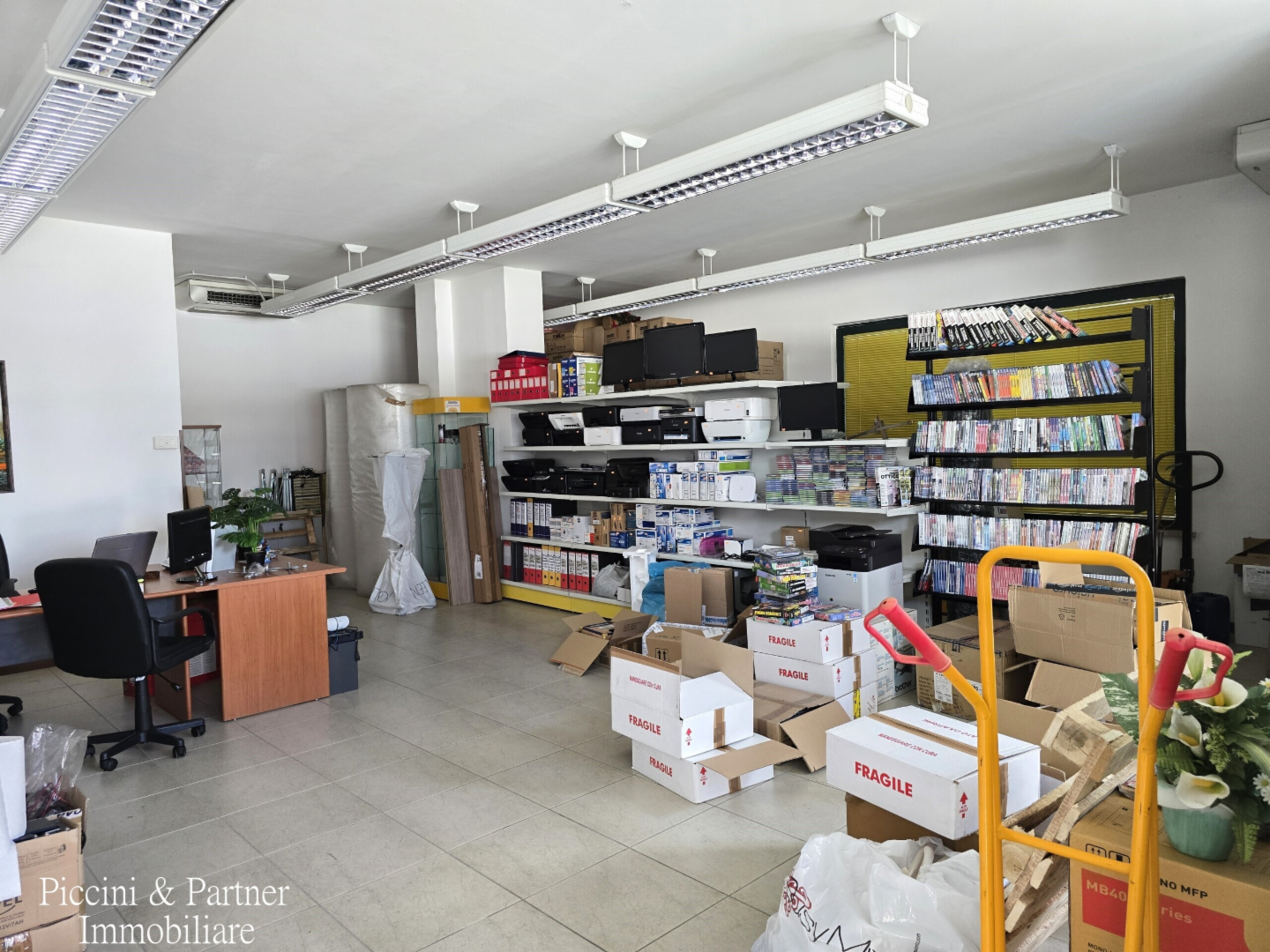 immagine annuncio 2 di 10