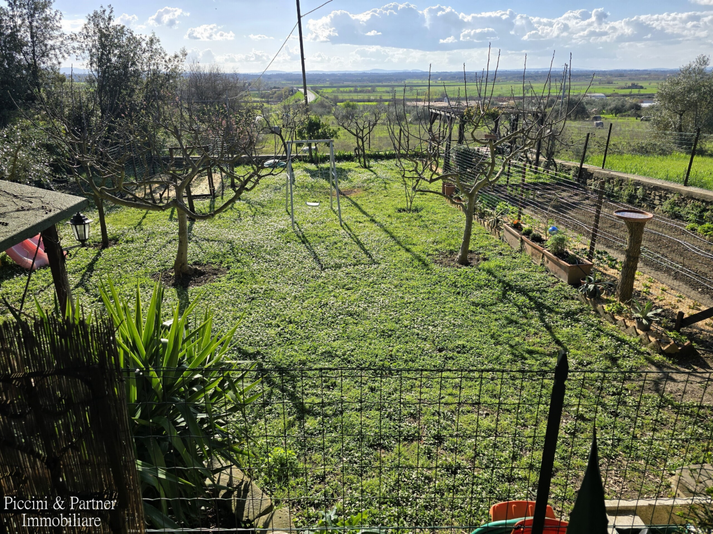 immagine annuncio 6 di 10