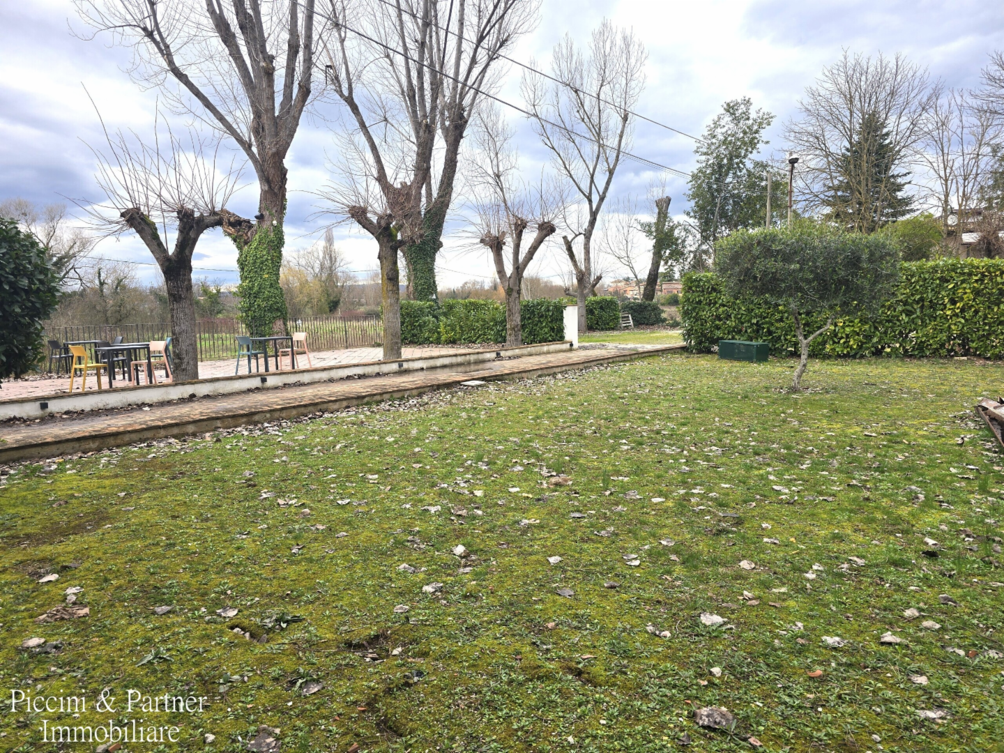 immagine annuncio 3 di 10