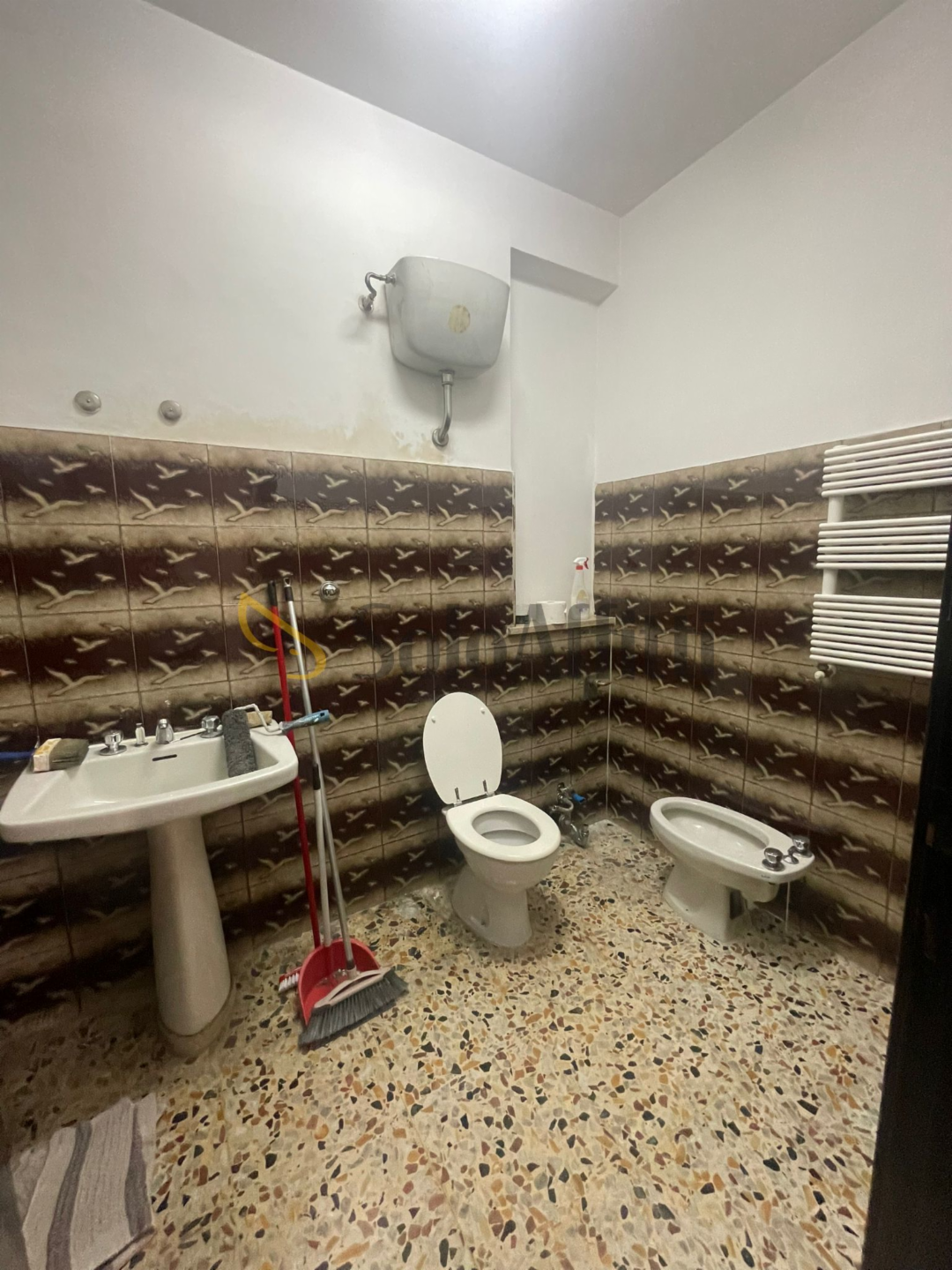 immagine annuncio 6 di 9