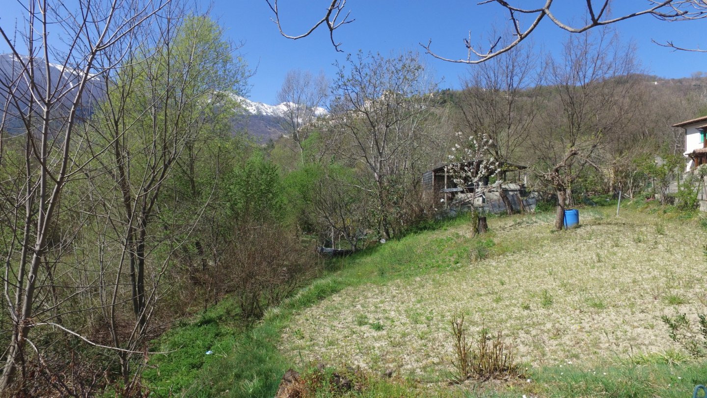 immagine annuncio 2 di 10
