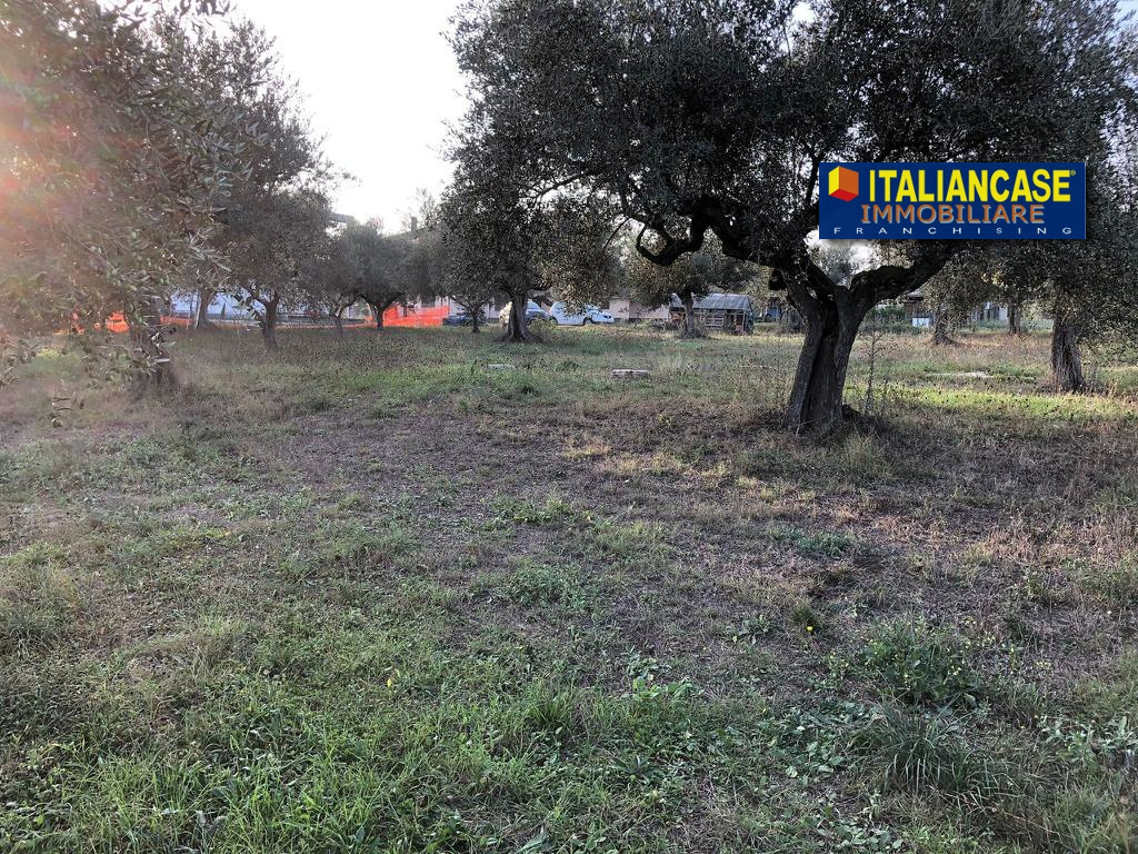 immagine annuncio 2 di 8