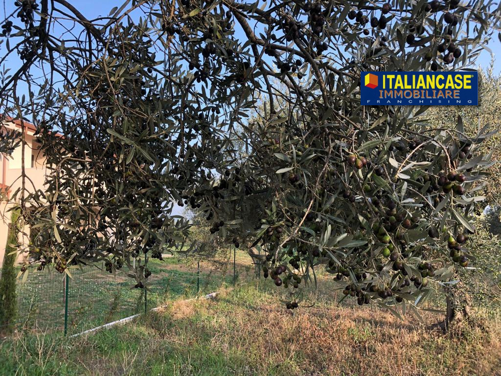 immagine annuncio 3 di 8
