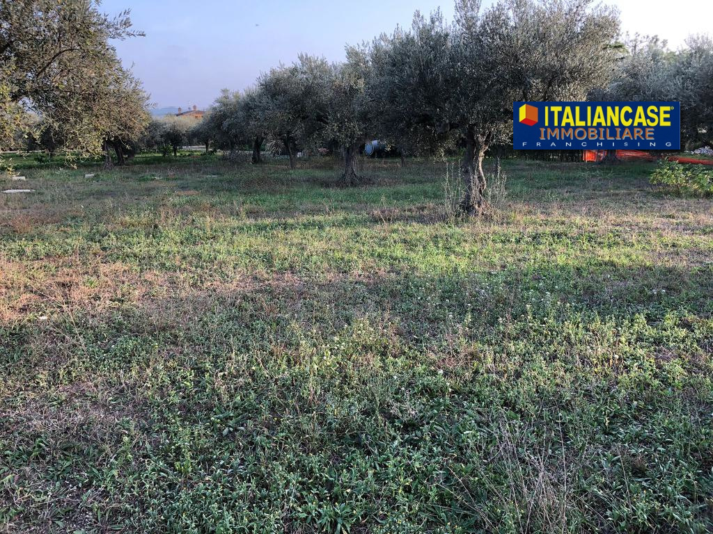 immagine annuncio 6 di 8