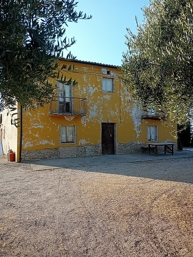 immagine annuncio 2 di 10