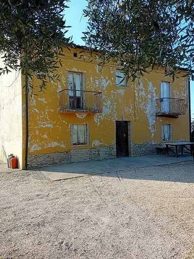 immagine annuncio 3 di 10