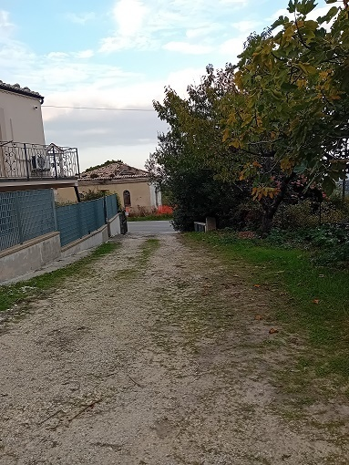 immagine annuncio 7 di 9