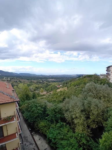 immagine annuncio 6 di 8