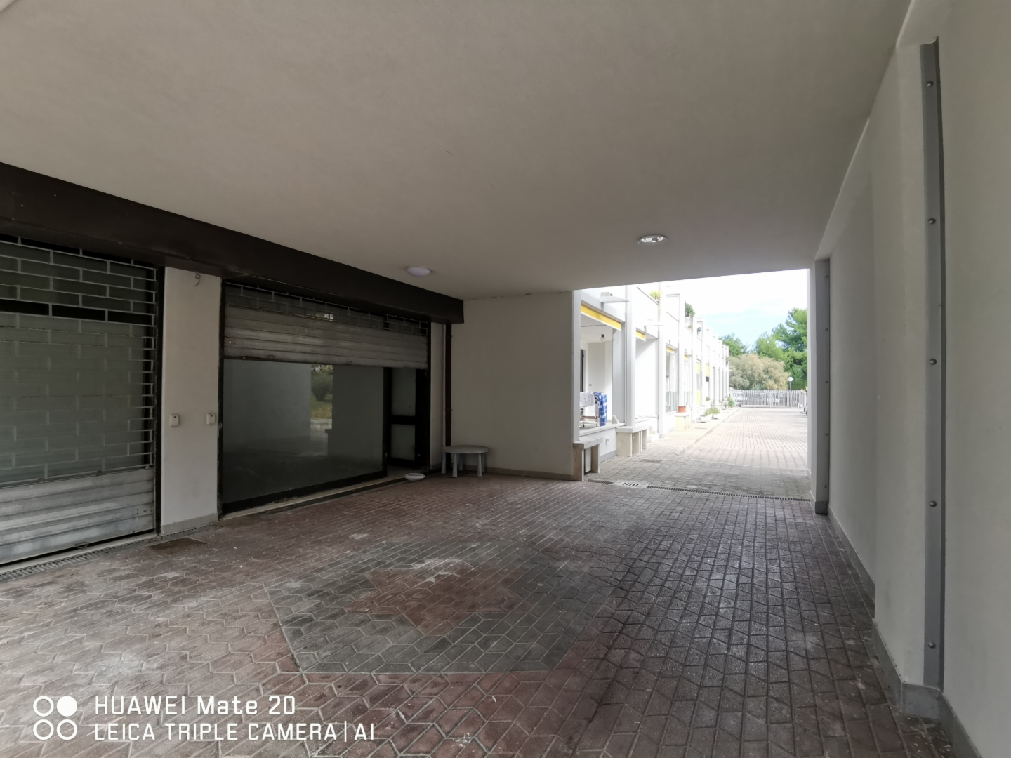 immagine annuncio 4 di 6