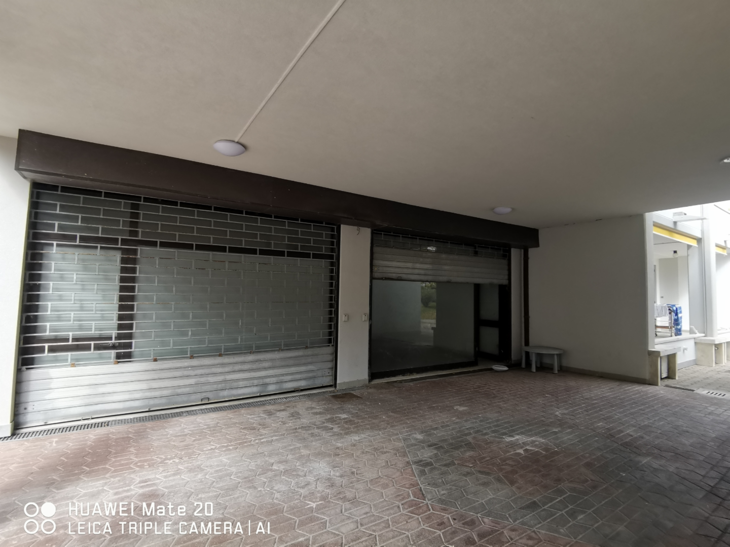 immagine annuncio 3 di 6