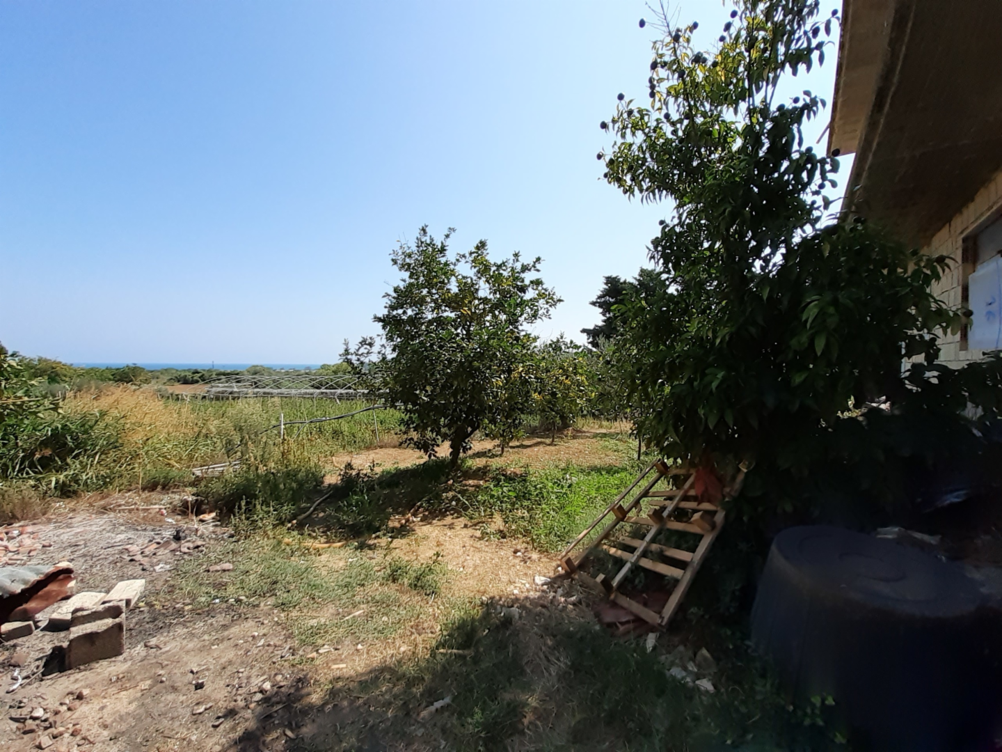 immagine annuncio 8 di 9