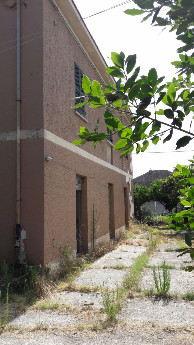 immagine annuncio 1 di 2