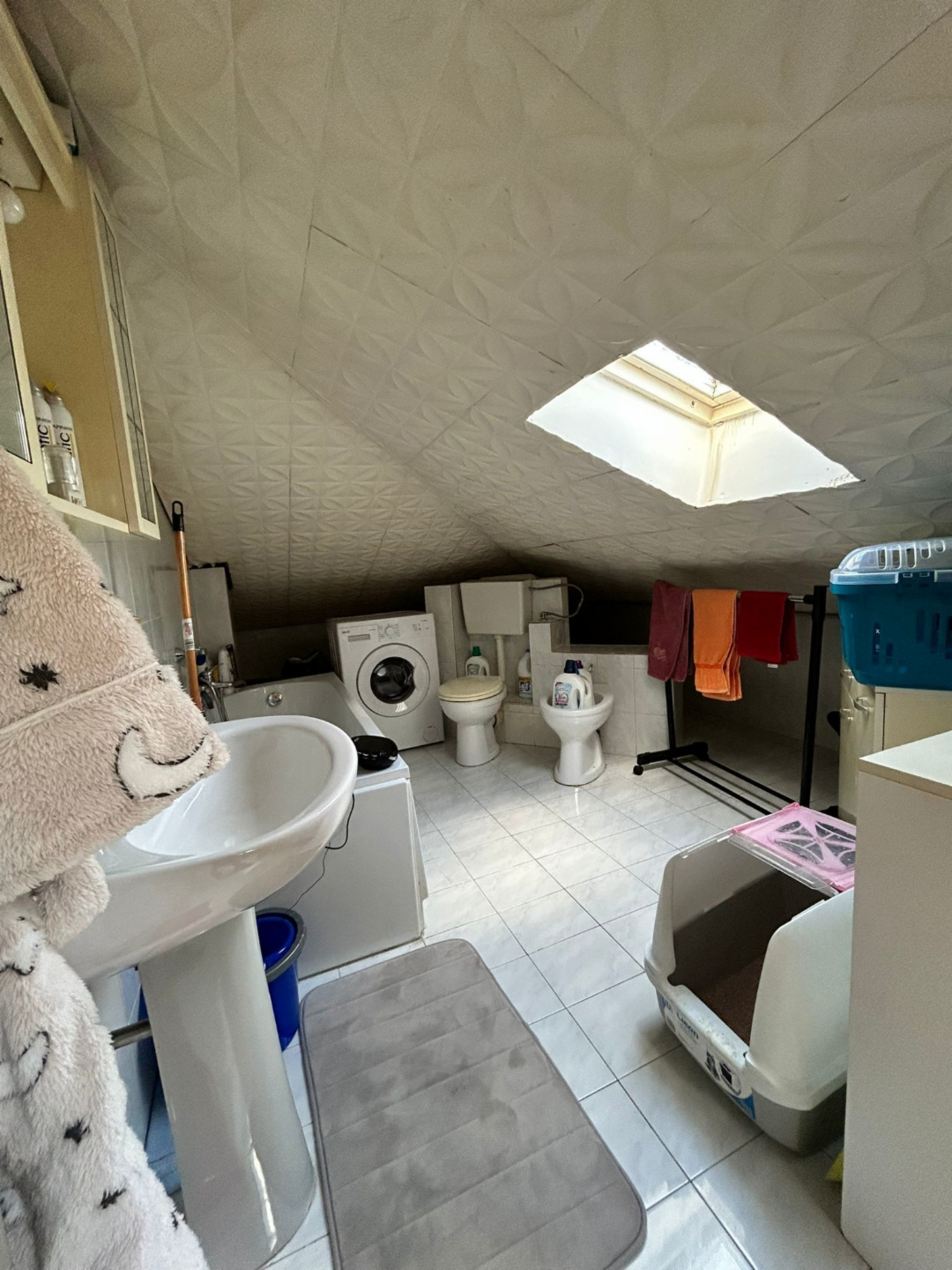 immagine annuncio 3 di 7