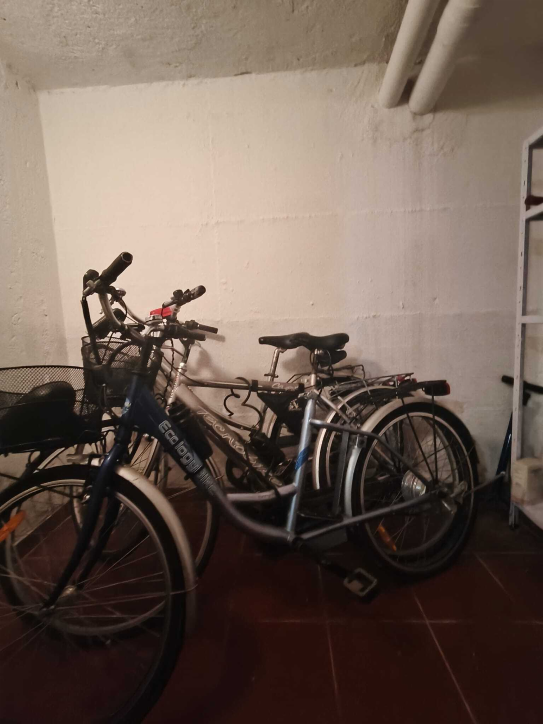 immagine annuncio 2 di 3