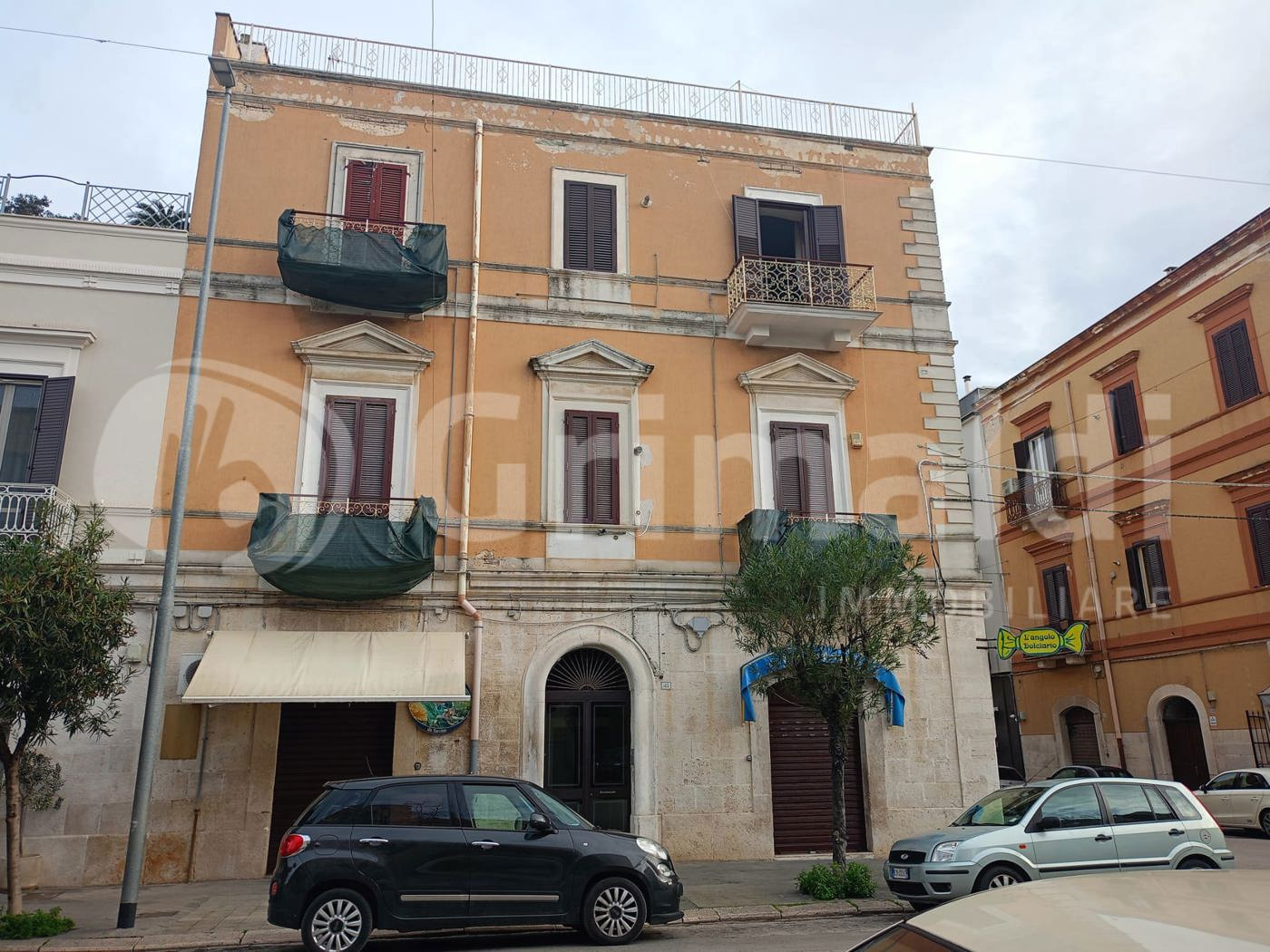 immagine annuncio 2 di 10