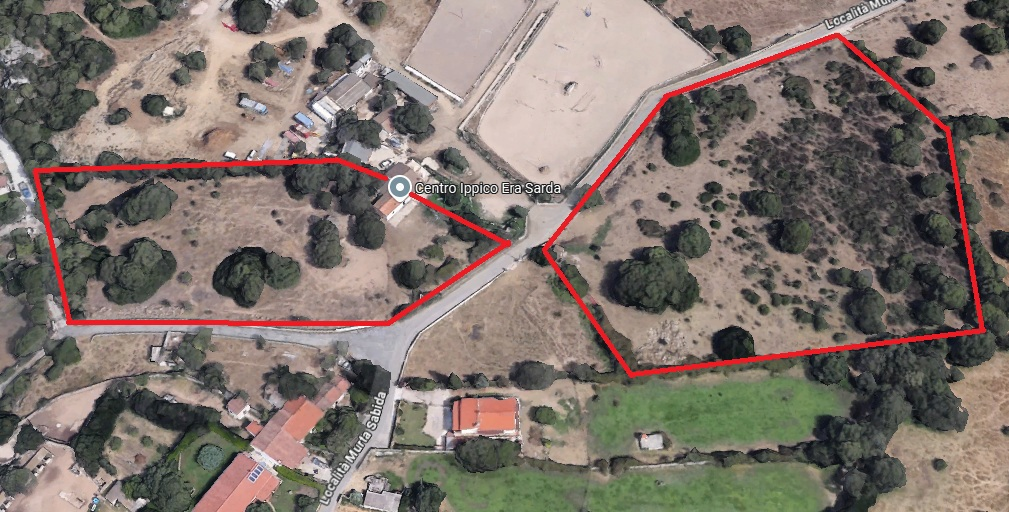 immagine annuncio 9 di 10