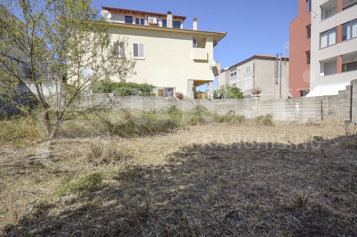 immagine annuncio 3 di 6