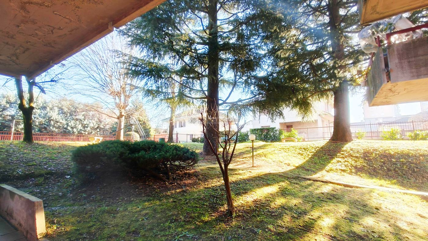 immagine annuncio 3 di 10