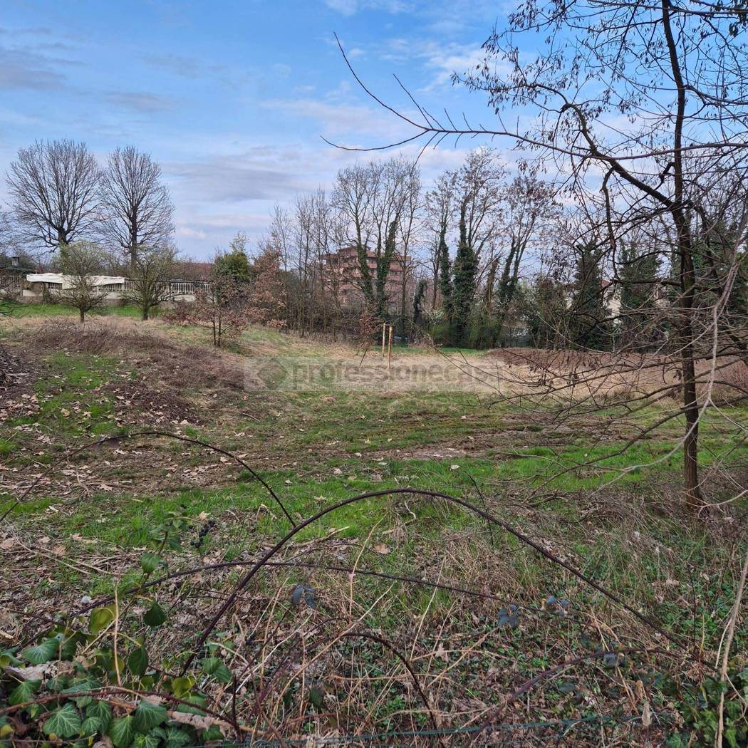 immagine annuncio 1 di 10