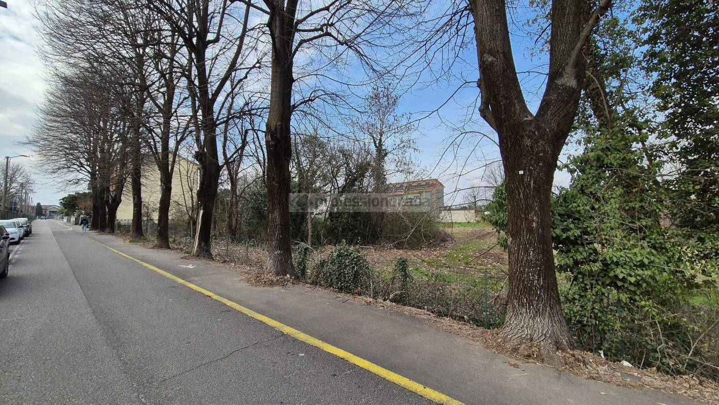 immagine annuncio 5 di 10