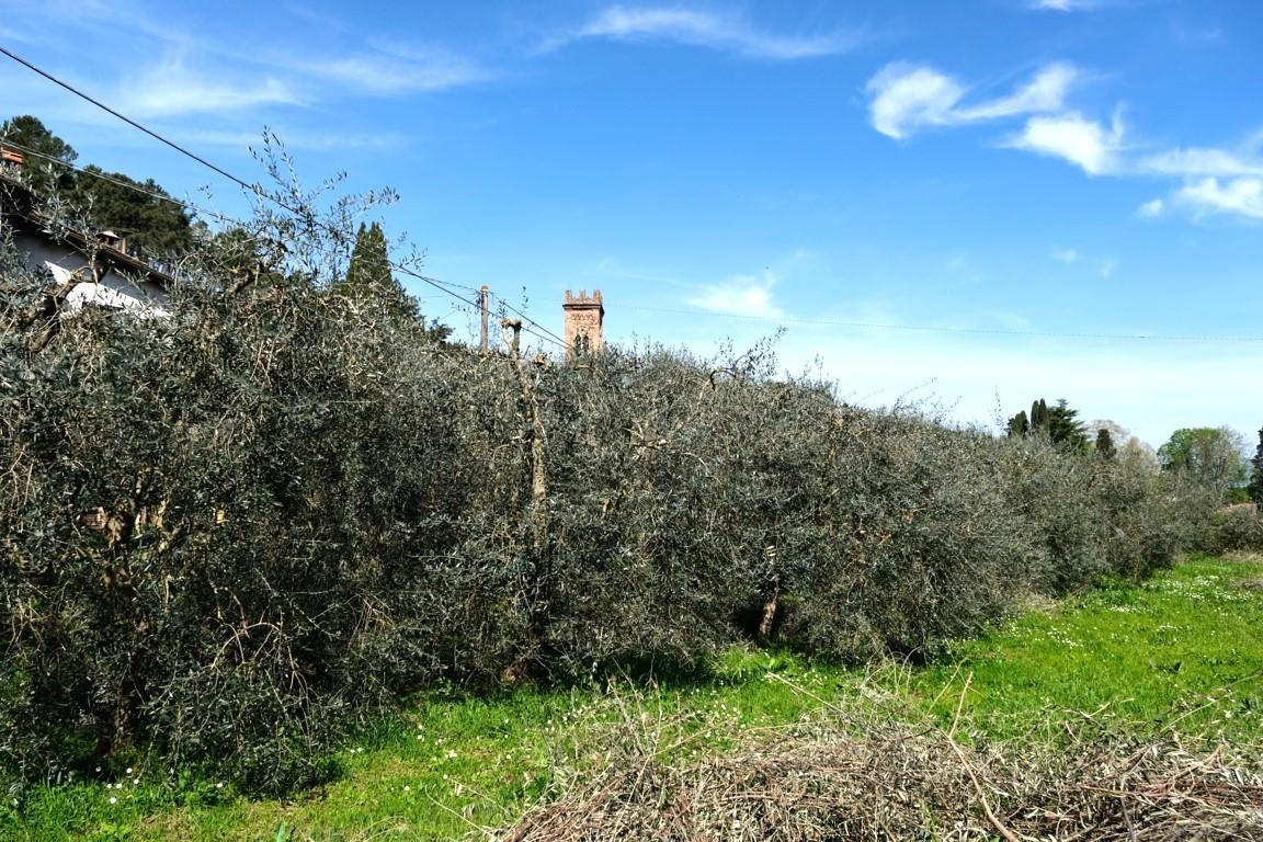 immagine annuncio 6 di 10