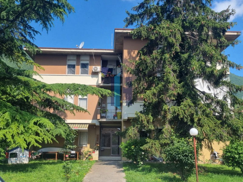 immagine annuncio 3 di 4