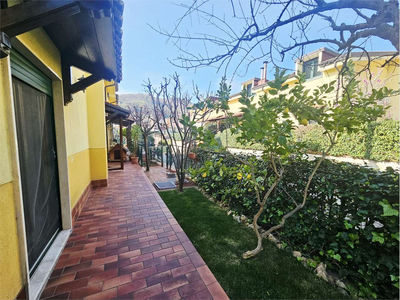 immagine annuncio 2 di 10