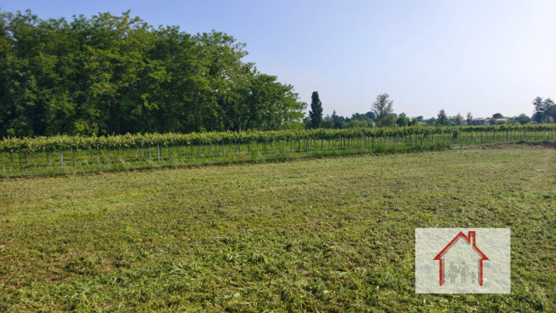 immagine annuncio 1 di 6