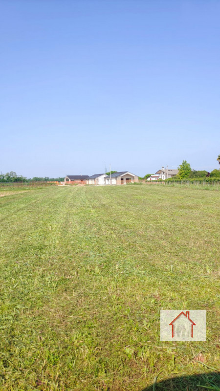 immagine annuncio 3 di 6