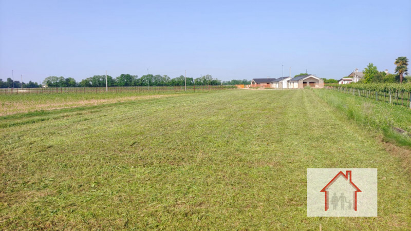 immagine annuncio 4 di 6