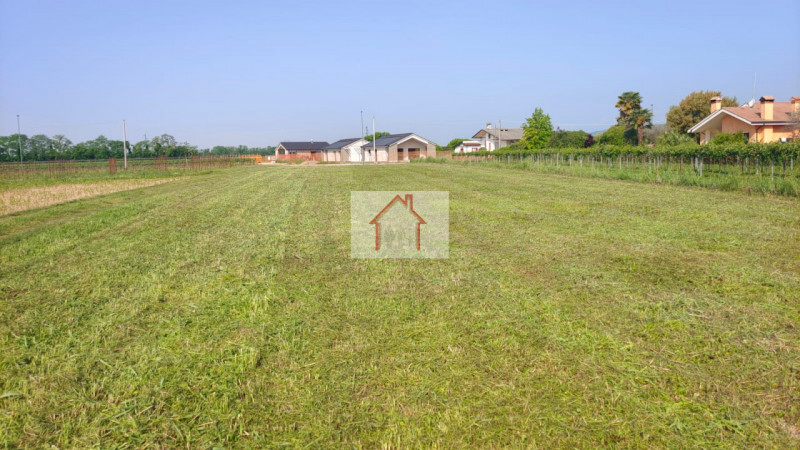 immagine annuncio 3 di 6